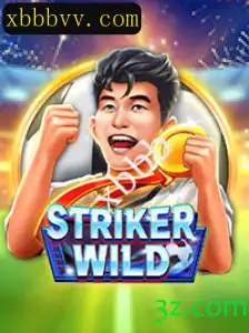 Explorando o Mundo de Aventura de StrikerWILD